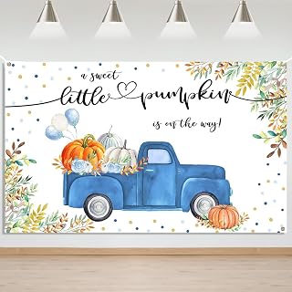 Mocsicka A Little Pumpkin is on The Way Baby Shower Backdrop