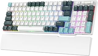 RK ROYAL KLUDGE RK96 RGB Wireless Mechanical Gaming Keyboard w/Wrist Rest | 90% 96 Keys Hot Swappable Mechanical Keyboard, 3-Mode BT5.0/2.4G/USB-C, Volume Control, Software Support & Massive Battery