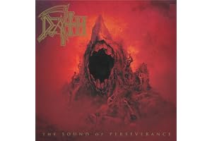 The Sound Of Perseverance