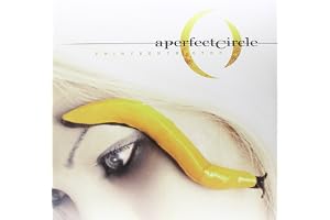 Thirteenth Step